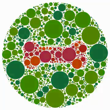 A colour vision test for dogs