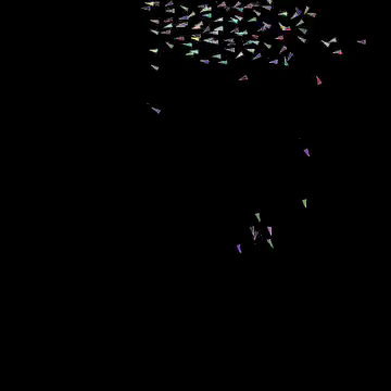 Two dimensional flocking boids