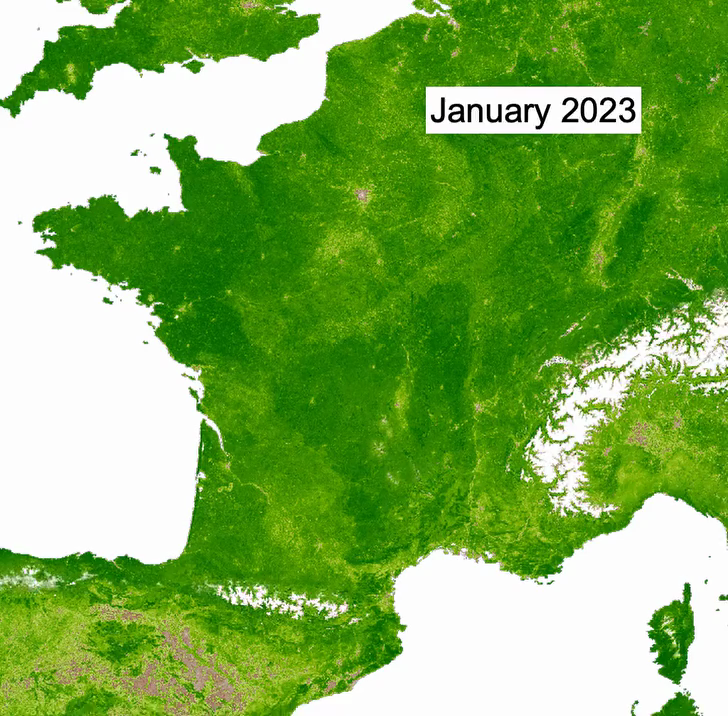 MODIS Aqua NDVI plant health of France animation