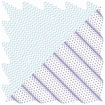 Planar directional transverse and longitudinal waves
