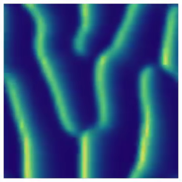 Klausmeier plant growth dynamics reaction-diffusion equation
