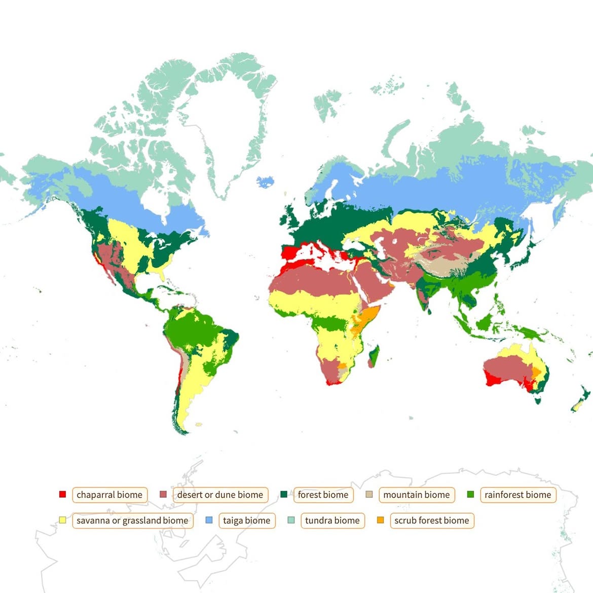 Terrestrial biomes